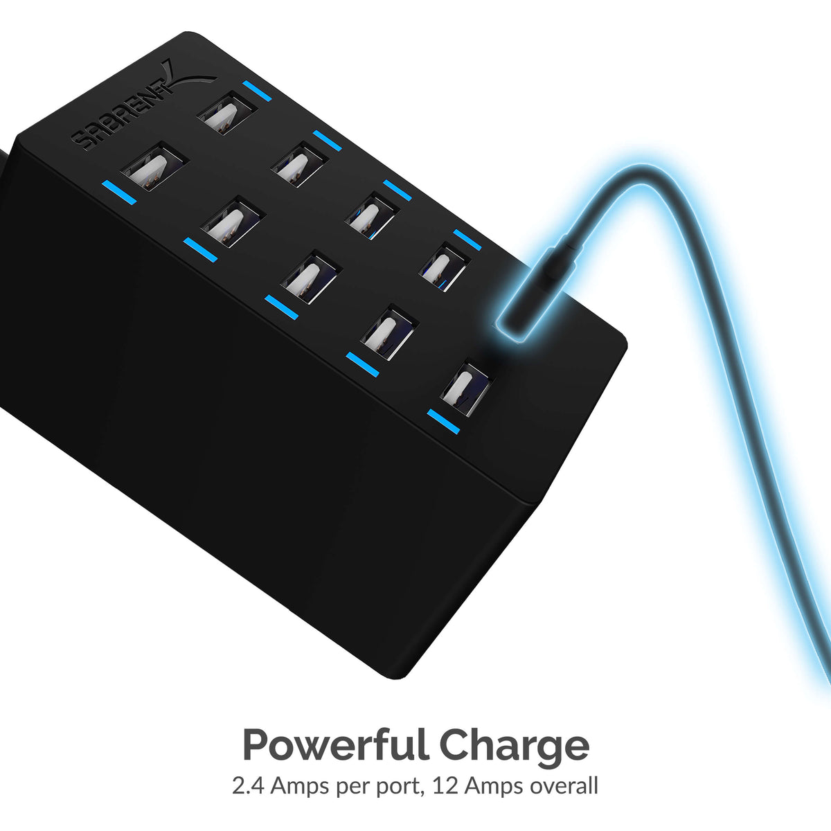 60 Watt (12 Amp) 10-Port Smart USB Rapid Charger