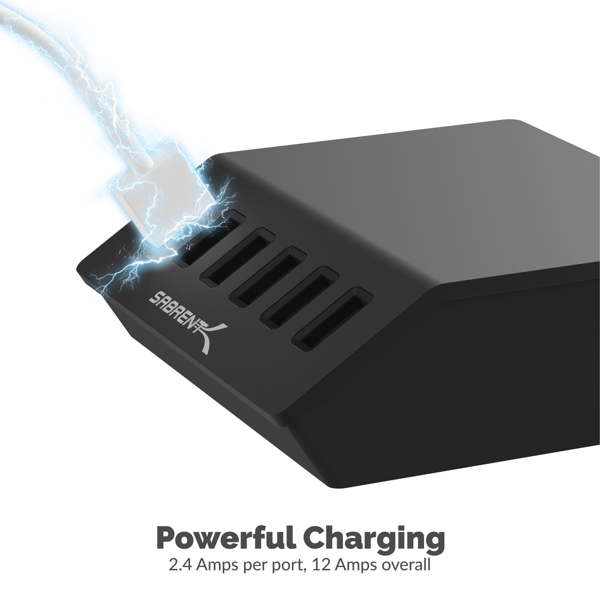 60 Watt (12 Amp) 6-Port USB Rapid Charger